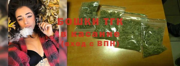 эйфоретик Арсеньев