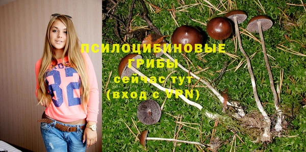 хмурый Армянск