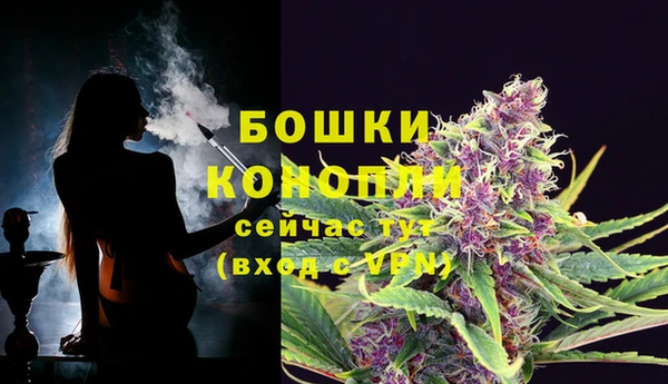 индика Балабаново