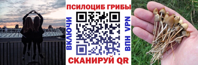 Галлюциногенные грибы прущие грибы  Харовск 